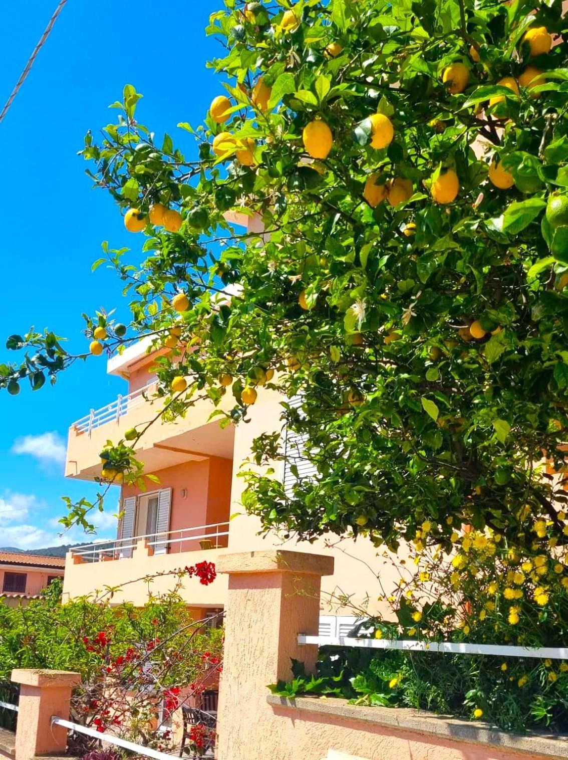 Casa Vacanze Mura Cala Gonone Eksteriør billede